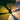 Stehlampe, schwarz | Pharus
