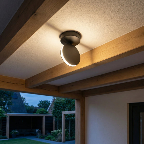 Schwarzer Deckenstrahler, 360° drehbar, IP65 | Lysrum